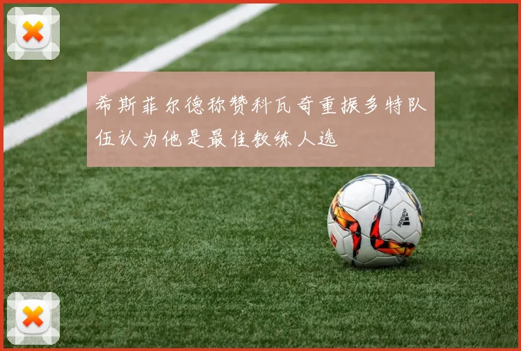 希斯菲尔德称赞科瓦奇重振多特队伍认为他是最佳教练人选