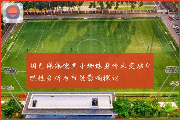 姆巴佩佩德里小蜘蛛身价未变动合理性分析与市场影响探讨