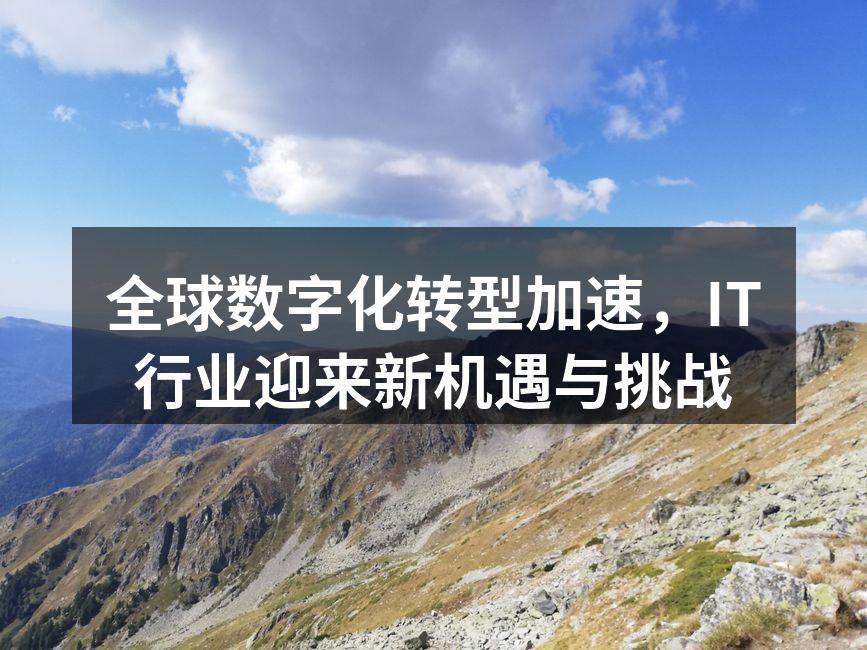 全球数字化转型加速,IT行业迎来新机遇与