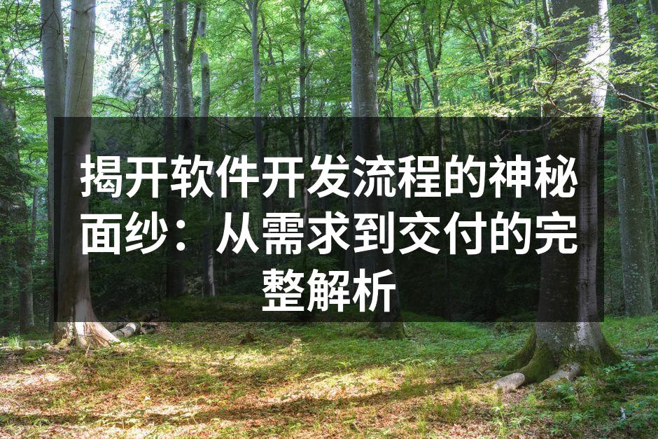 揭开软件开发流程的神秘面纱：从需求到交付